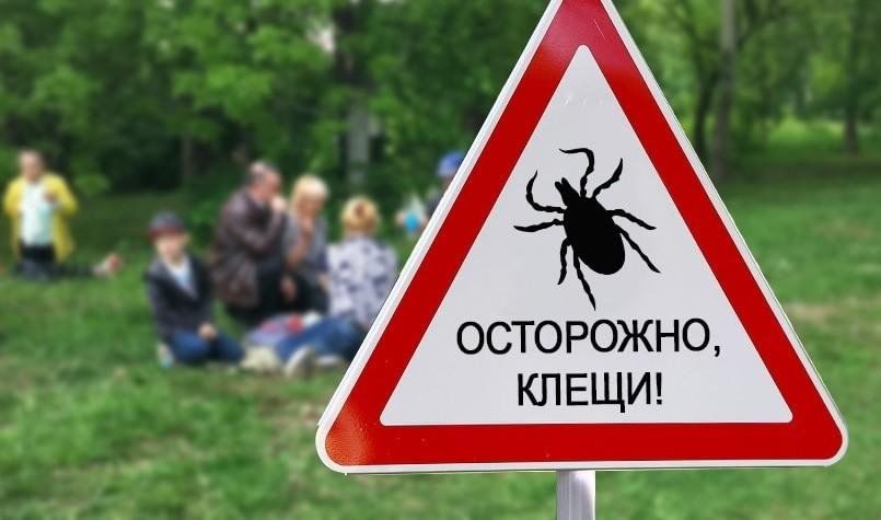"ГОРЯЧАЯ ЛИНИЯ" по профилактике клещевого энцефалита "ГОРЯЧАЯ ЛИНИЯ" по профилактике клещевого энцефалита.